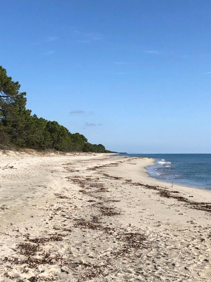 Butia Villa San-Gavino-di-Fiumorbo Kültér fotó